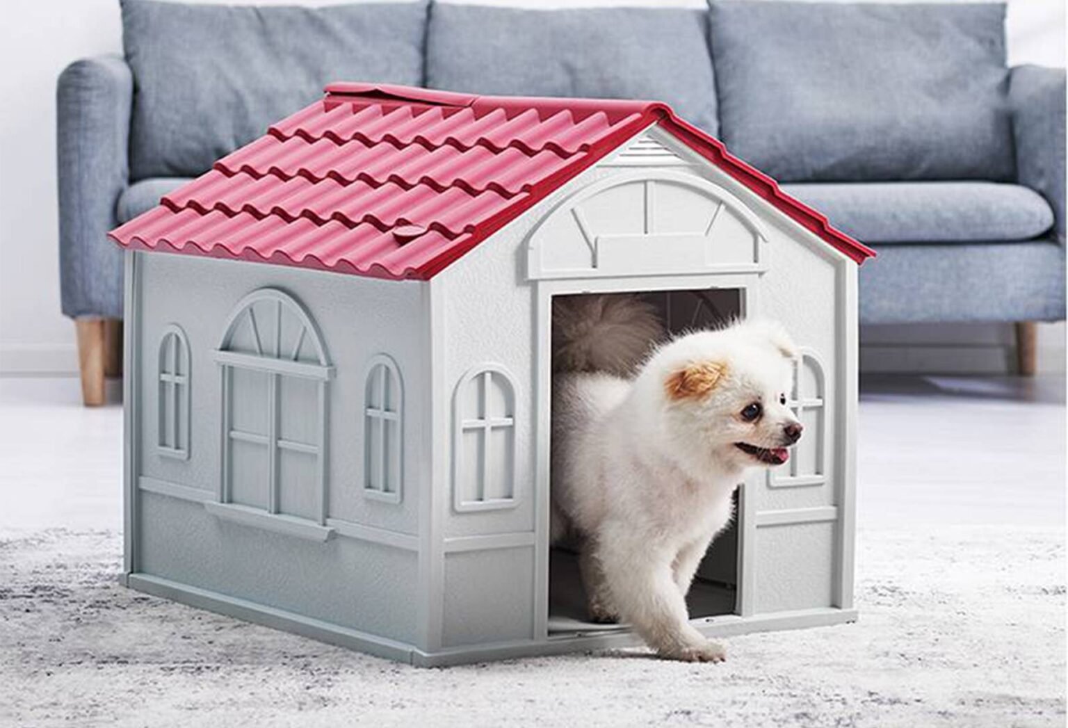 Durable Pet House for All Seasons