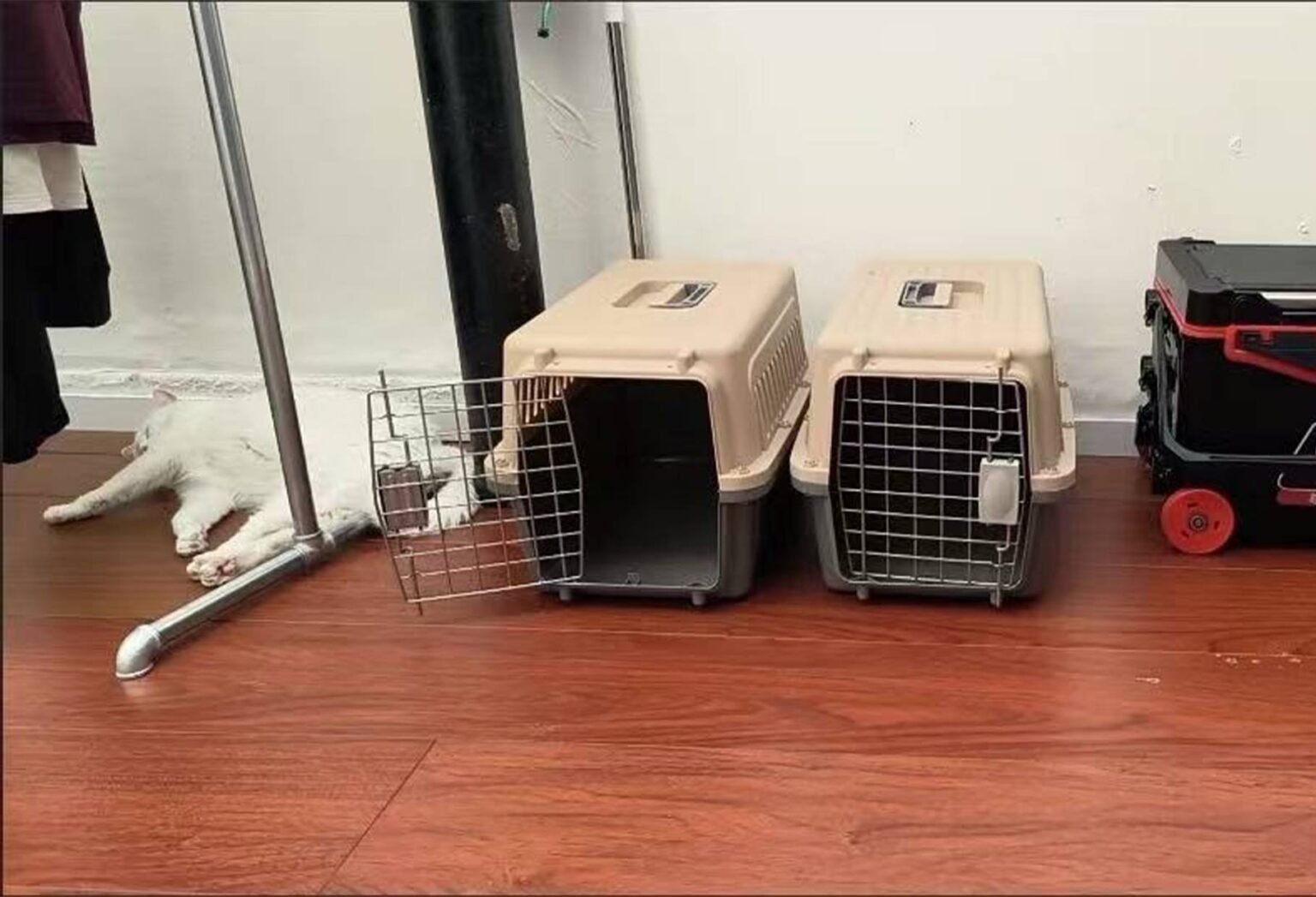 Safe for International Shipping